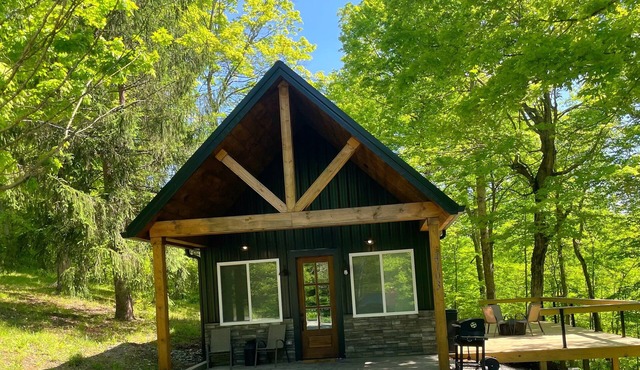 Nash’s cabin in Leitchfield that is Pet Friendly, WIFI, w/Creek.