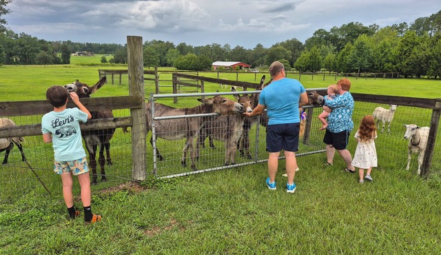 Quiet Getaway in Horse Country-West House-Close to Ocala/Gainesville, Pets Ok!
