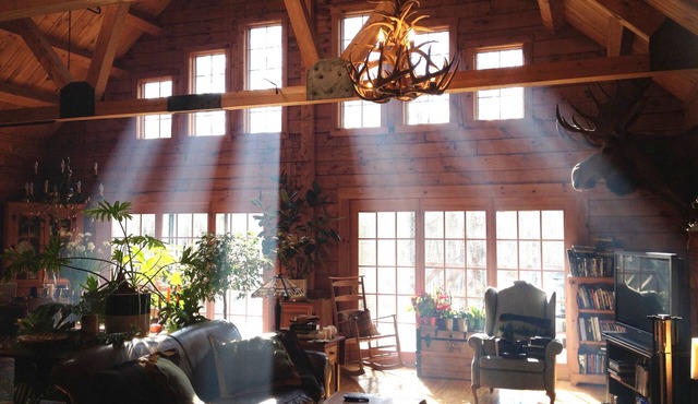 Rare private cabin retreat surrounded by 1700 acres of woods, yet close to town.