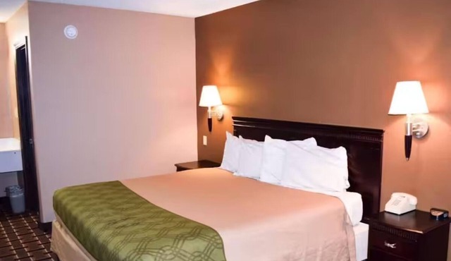 Relax in Spacious Room w/Microwave, Fridge + Tea/Coffee Maker – Stress-Free