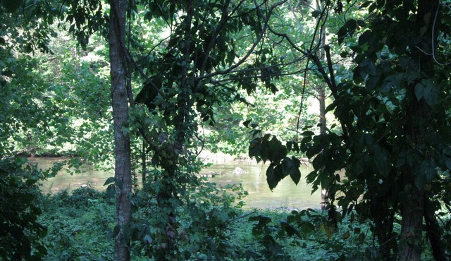 River 1 Impressions on Tellico River 1 Bedroom