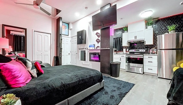 Sultry Studio w/Backyard & Parking in South Tampa