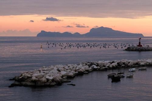 Terrazze del Lungomare
