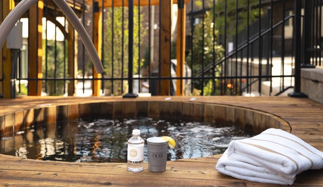Unit 4 I Experience Noa Nashville | 4BR Luxury Retreat + Resort Pool