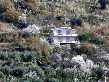 Apartment Gaetano in Santa Maria di Ricadi - 4 persons, 2 bedrooms
