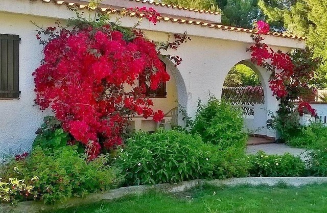 Holiday house Calasetta for 4 - 8 persons with 4 bedrooms - Farmhouse