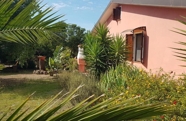 HOME HOLIDAYS PINTADERA