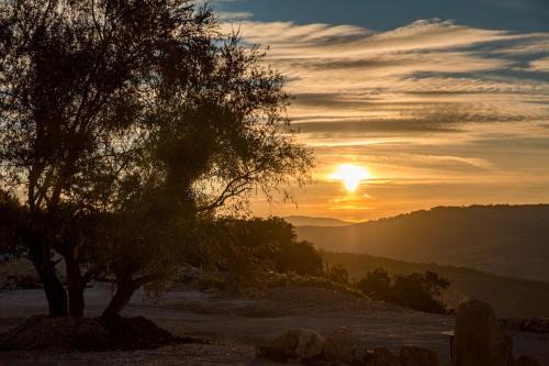 Masseria Straziuso La Vaccariccia 