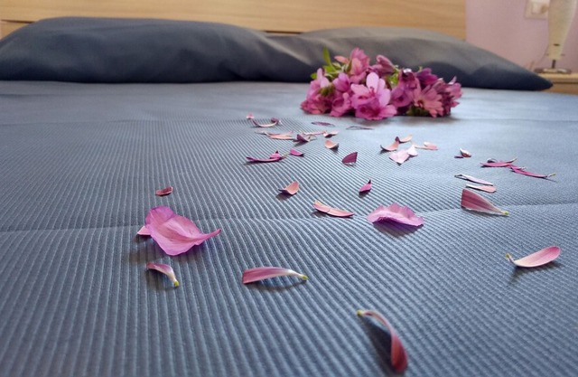 Residence Bidreams - Apartment 5
