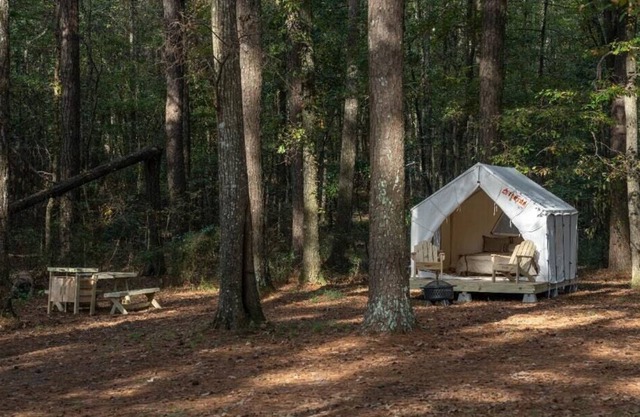 Tentrr State Park Site - Mississippi Roosevelt State Park - Tall Trees D - Sing
