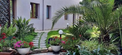 Selargius Bed & Breakfast | 16 m² Bed and breakfast ∙ 4 guests