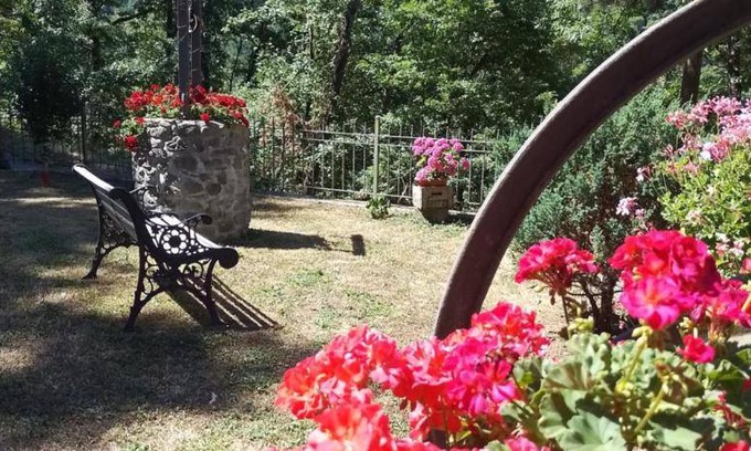 Roncobilaccio Bed & Breakfast | 20 m² Bed and breakfast ∙ 4 guests