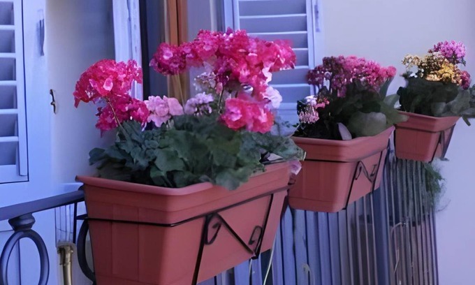 Le Cure Bed & Breakfast | 22 m² Bed and breakfast ∙ 2 guests