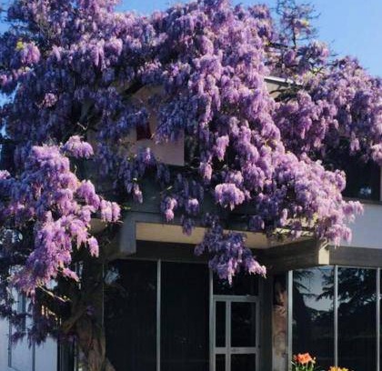 Cona Bed & Breakfast | 28 m² Bed and breakfast ∙ 5 guests
