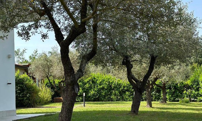 Borghetto-melara Apartment | 29 m² Serviced apartment ∙ 5 guests