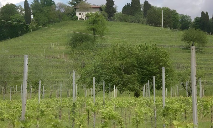 Manzano House | 30 m² Farmhouse ∙ 4 guests