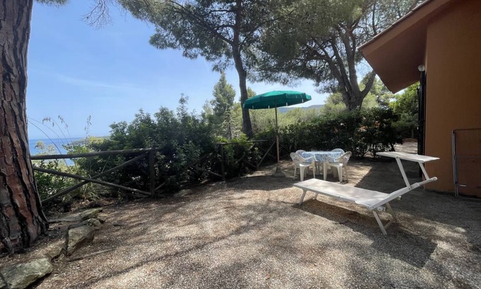Mola Apartment | 35 m² Apartment ∙ 1 bedroom ∙ 4 guests