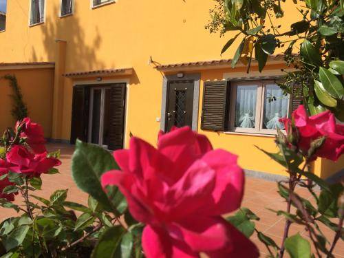 Castel Gandolfo Apartment | 37 m² Apartment ∙ 3 guests