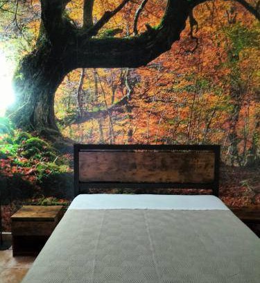 Maniago House | 40 m² House ∙ 1 bedroom ∙ 2 guests