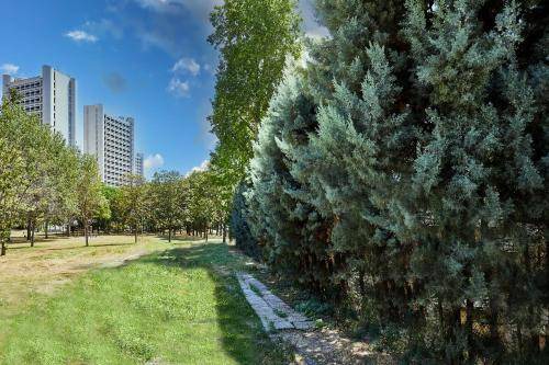 San Donato Apartment | 50 m² Apartment ∙ 1 bedroom ∙ 4 guests