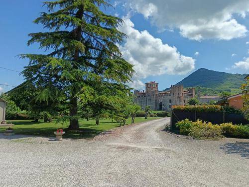 Lozzo Atestino Apartment | 60 m² Apartment ∙ 1 bedroom ∙ 2 guests