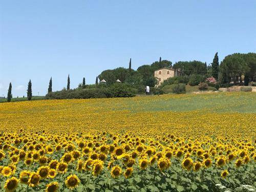 Solomeo Bed & Breakfast | 60 m² Bed and breakfast ∙ 4 guests