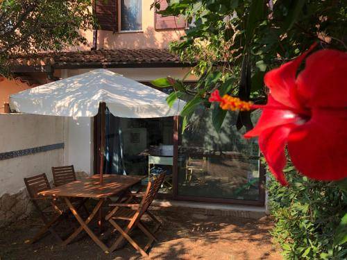 Capitana House | 75 m² House ∙ 2 bedrooms ∙ 6 guests