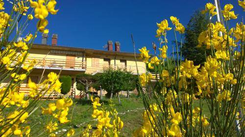 Carpegna Apartment | 80 m² Apartment ∙ 3 bedrooms ∙ 8 guests