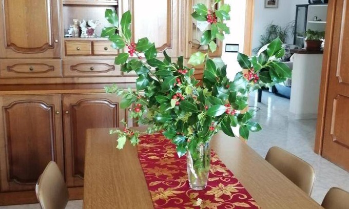 Fonni Apartment | 90 m² Apartment ∙ 2 bedrooms ∙ 7 guests