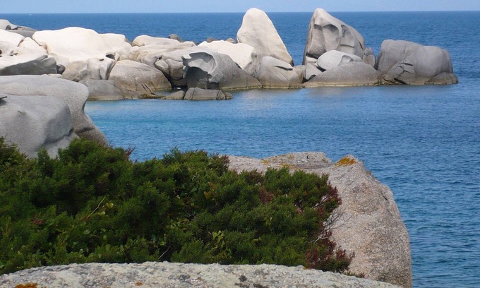 Santa Teresa di Gallura House | Aparment in a small condominium