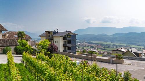 Caldaro Sulla Strada del Vino Apartment | Apartment Mendelbahn 1