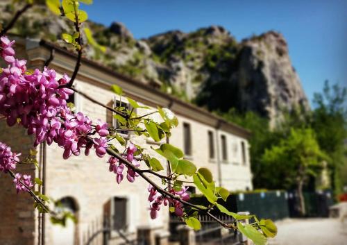 Furlo Bed & Breakfast | B&B Aquilegia