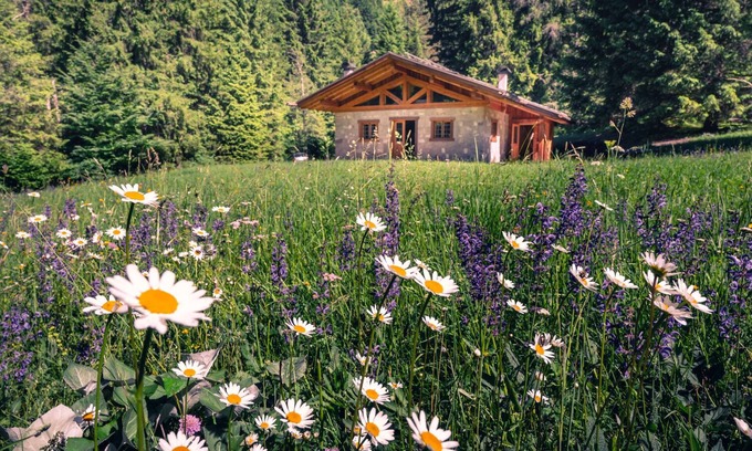 Ragoli Cabin | Baita Valon - Alpine Hideaway