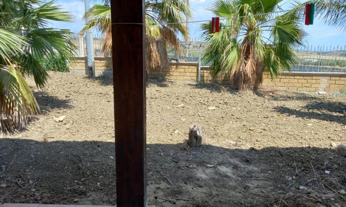 Menfi Villa | casa vacanza iliana