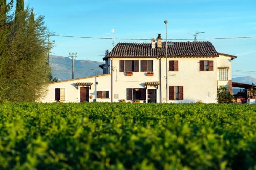Guzman House | La Casa di Smilla - (Bevagna)