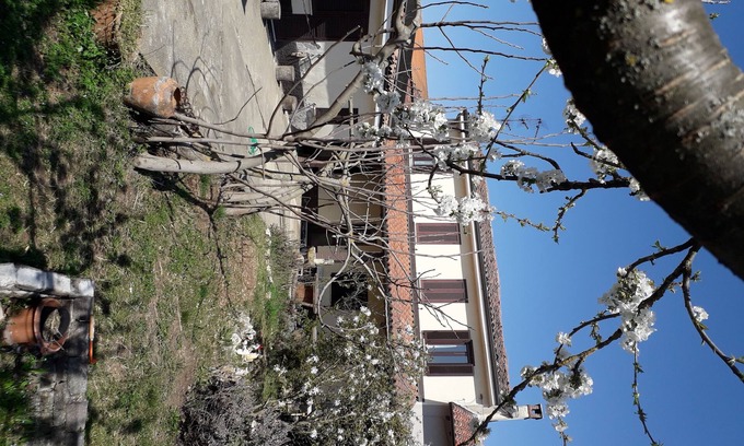Villa Biscossi House | Nicoletta House in Lomellina