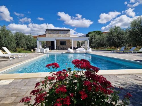 Partinico Villa | Villa Degli Ulivi