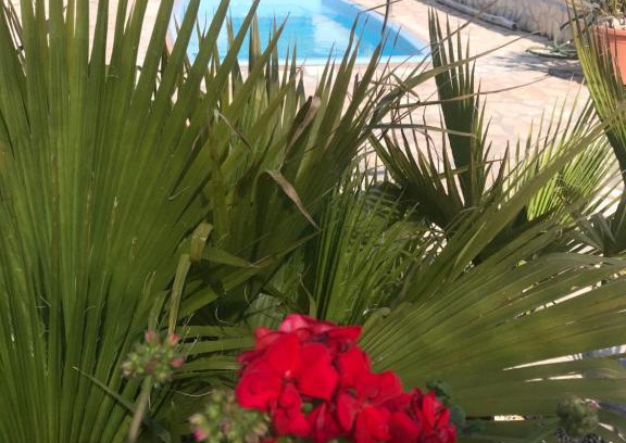 Pomezia Bed & Breakfast | W&B Pomezia