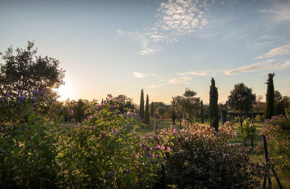 Photo of Outdoor in Capodacqua