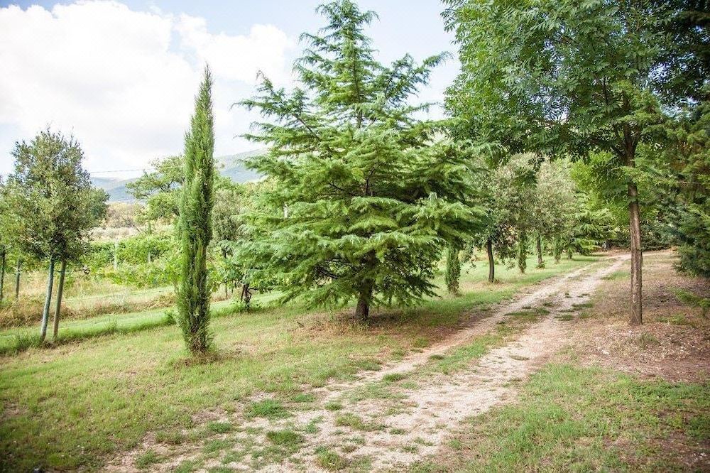 Photo of Outdoor in Capodacqua