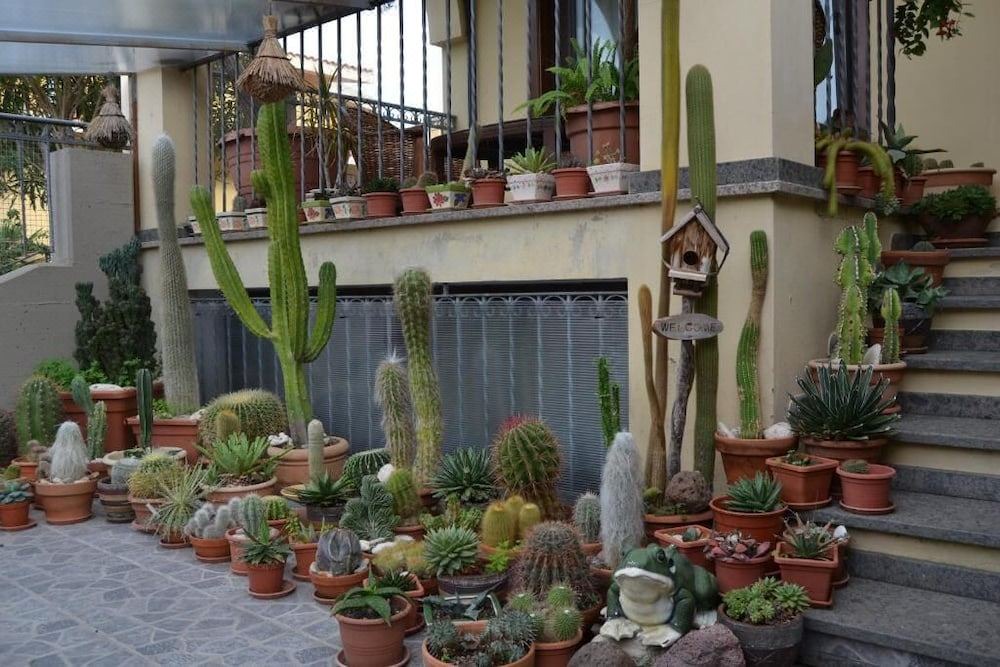 Photo of Buildings in Torre Grande