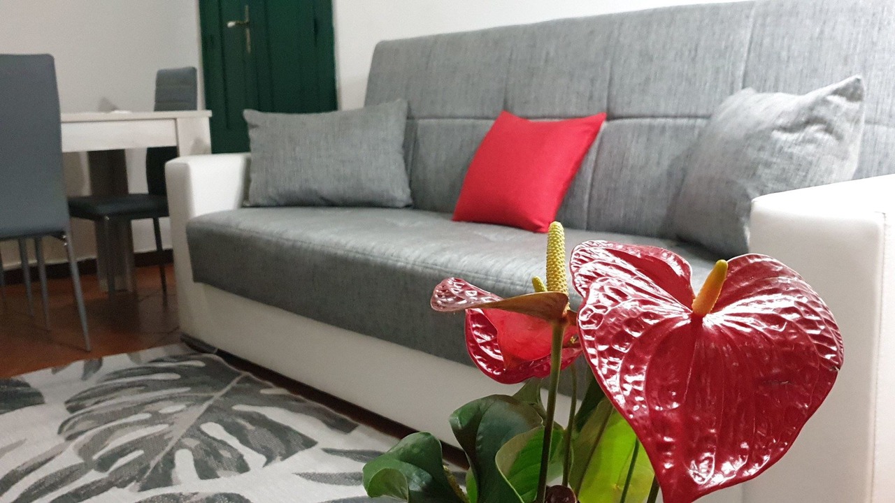 Photo of Livingroom in Cagliari