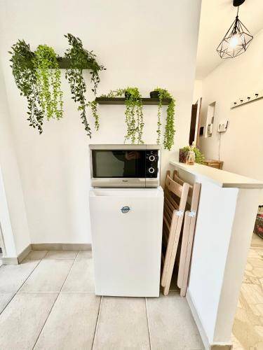 Photo of Kitchen in Cinisello Balsamo