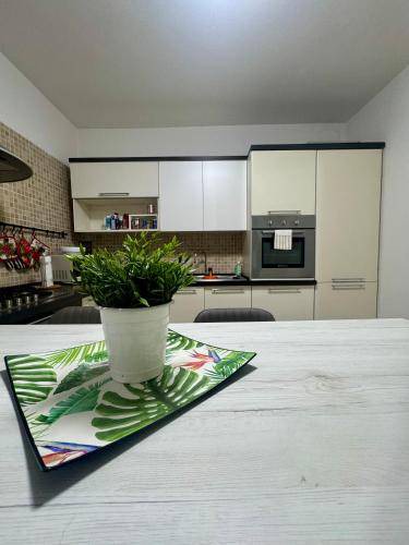 Photo of Kitchen in Cesano Maderno