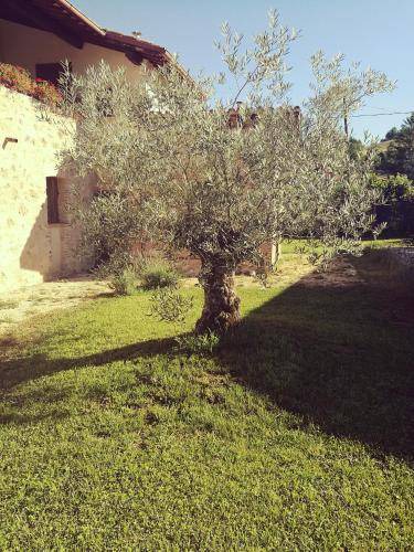 Photo of Others in Rieti