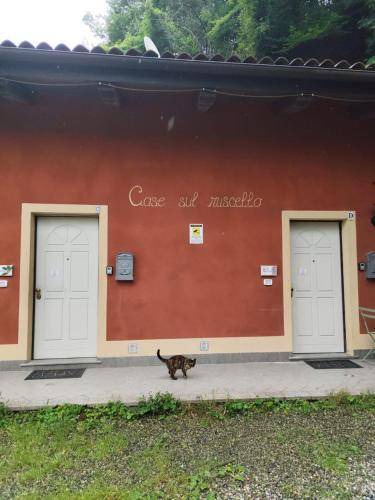Photo of Others in San Sebastiano da Po