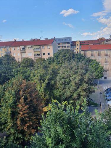 Photo of Others in Cuneo