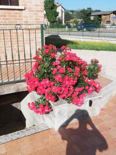 Photo of Others in Castel Ritaldi