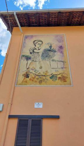 Photo of Others in Mezzomerico