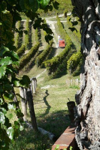 Photo of Others in Serralunga di Crea